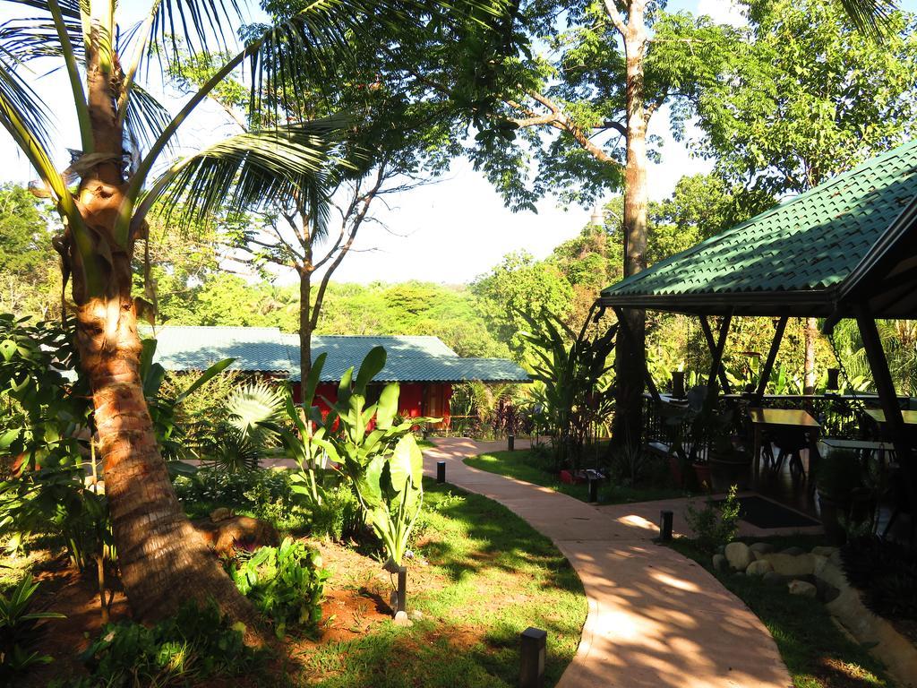 Oasis De Las Palmas Ojochal Exteriör bild
